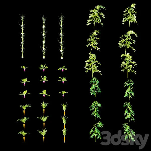 3DSky - Garden Greenhouse Kitchen Garden Vol 5 - Image 3