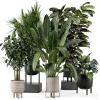 3DSky - Indoor Plants in Ferm Living Bau Pot Large Set 879
