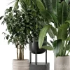 3DSky - Indoor Plants in Ferm Living Bau Pot Large Set 879 - Image 2