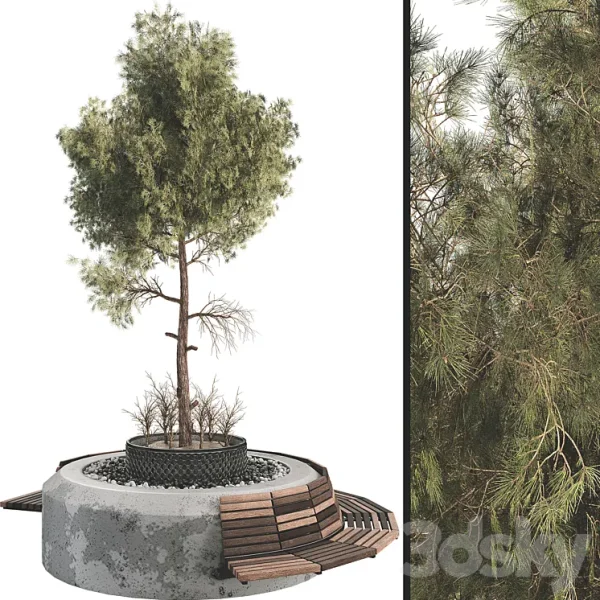 3DSky - Outdoor Plant Set 06 - Image 2