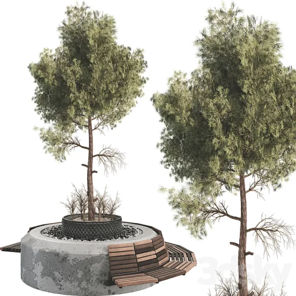 3DSky - Outdoor Plant Set 06
