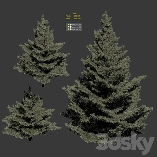 3DSky - Collection of Firs 3 Models - Image 3