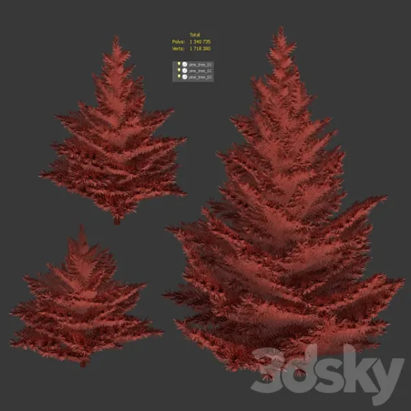 3DSky - Collection of Firs 3 Models - Image 4