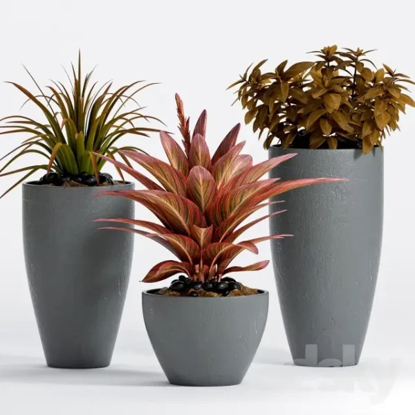 3DSky - Plant 17