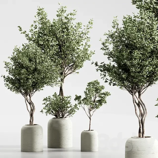 3DSky - Indoor Plant 09