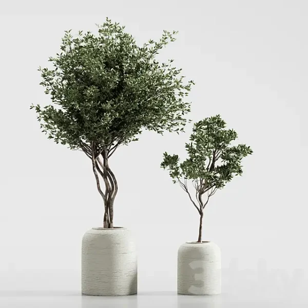 3DSky - Indoor Plant 09 - Image 3