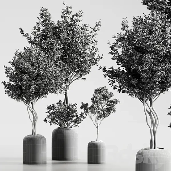 3DSky - Indoor Plant 09 - Image 4