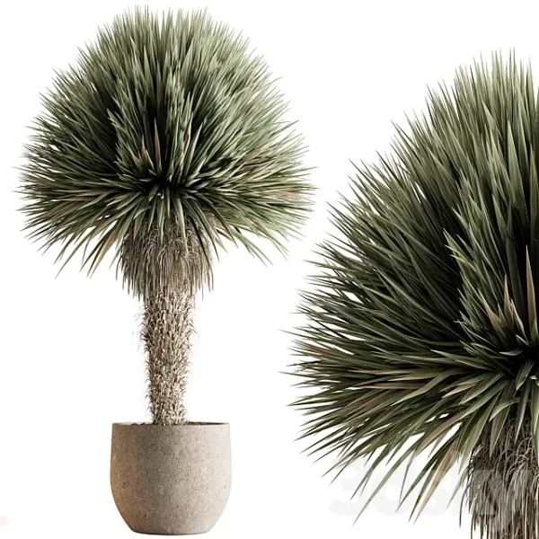 3DSky - Outdoor Plants 577 Yuka Tree