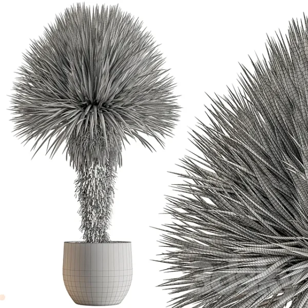 3DSky - Outdoor Plants 577 Yuka Tree - Image 3
