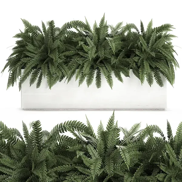 3DSky - Plant Collection 673