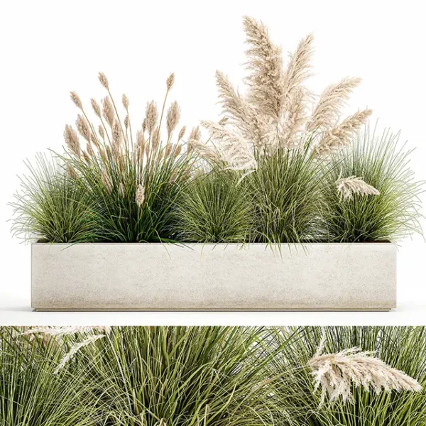 3DSky - Plant Collection 1077
