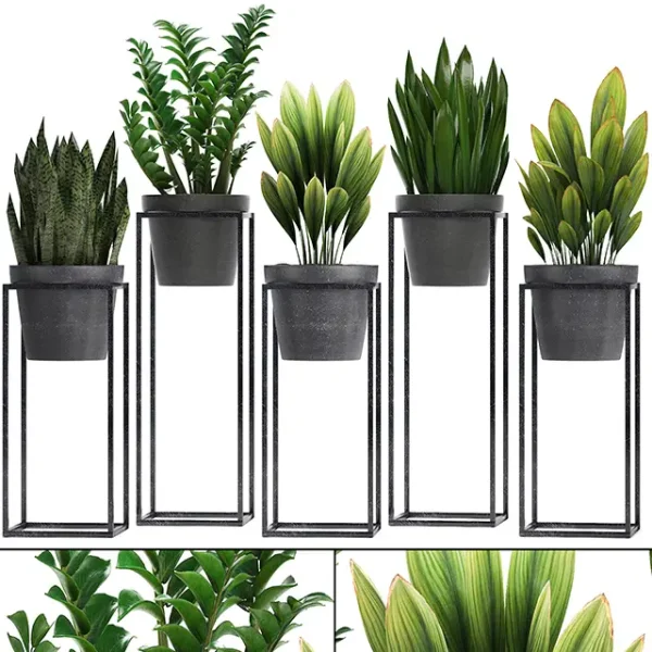 3DSky - Plant Collection 240