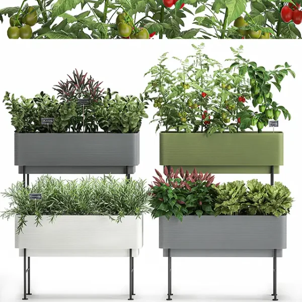 3DSky - Plant Collection 1059