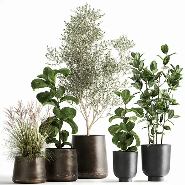 3DSky - Plant Collection 1029