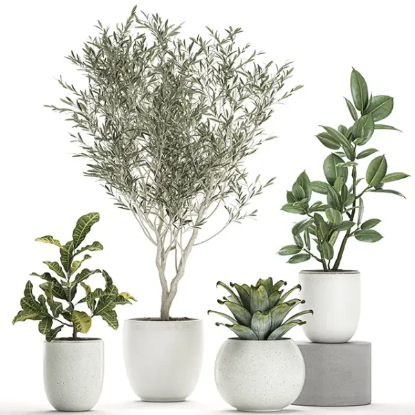 3DSky - Plant Collection 676