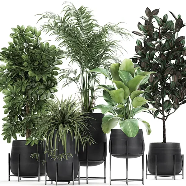 3DSky - Plant Collection 769