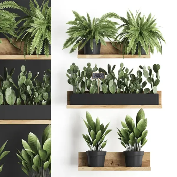 3DSky - Plant Collection 398