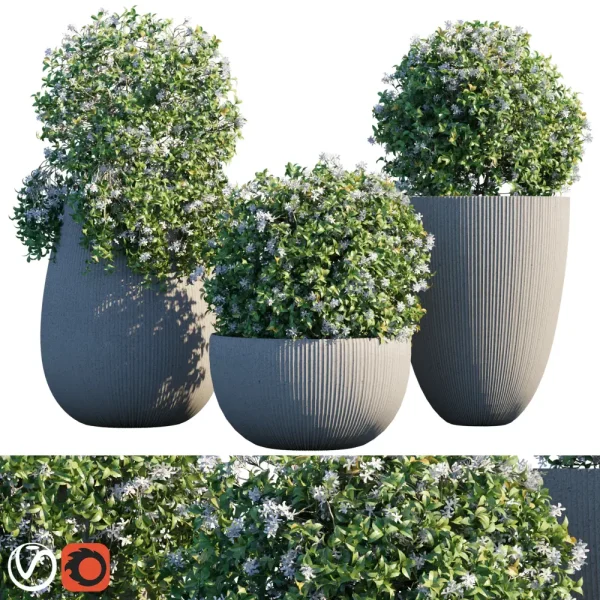 3DSky - Plant in Pots 14