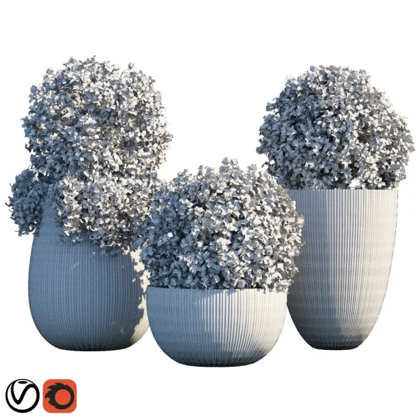 3DSky - Plant in Pots 14 - Image 2
