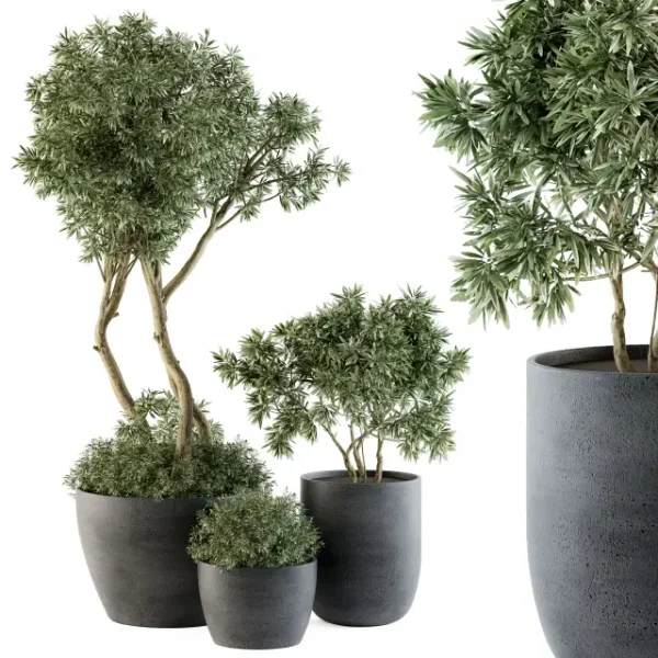 3DSky - Outdoor Plants Tree in Pot Set 90