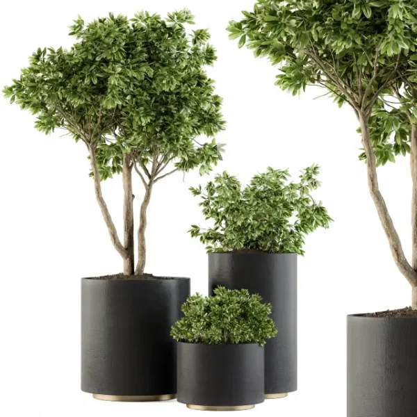 3DSky - Outdoor Plants Tree in Pot Set 94
