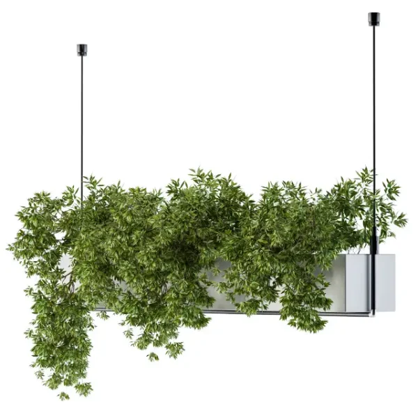 3DSky - Hanging Box Plant