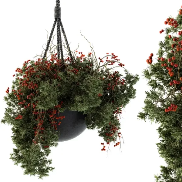 3DSky - Hanging Pot Plant Set 102
