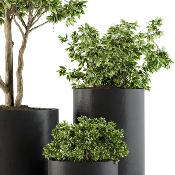 3DSky - Outdoor Plants Tree in Pot Set 94 - Image 2