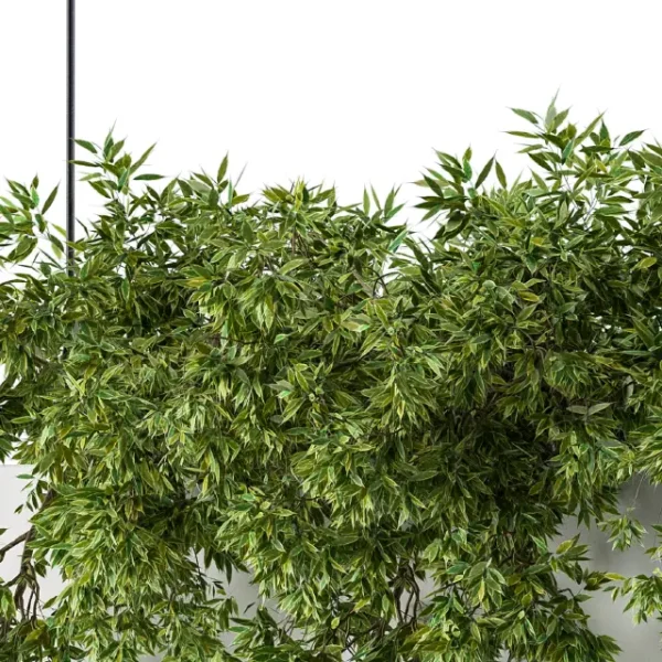 3DSky - Hanging Box Plant - Image 4