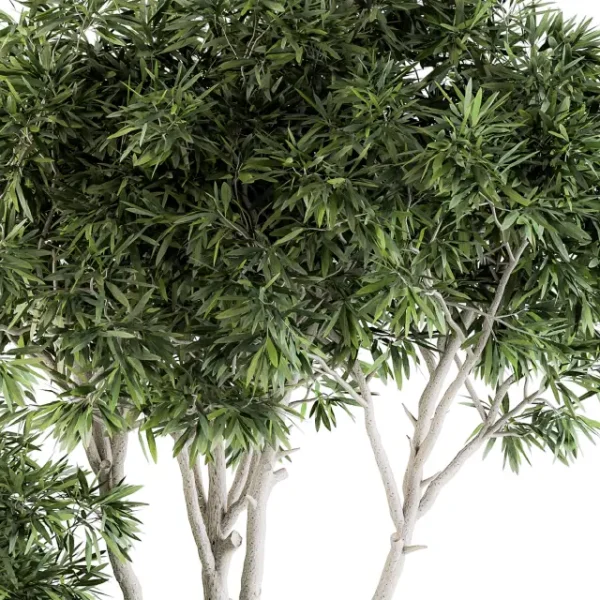 3DSky - Outdoor Plants Tree in Concrete Pot Set 111 - Image 2