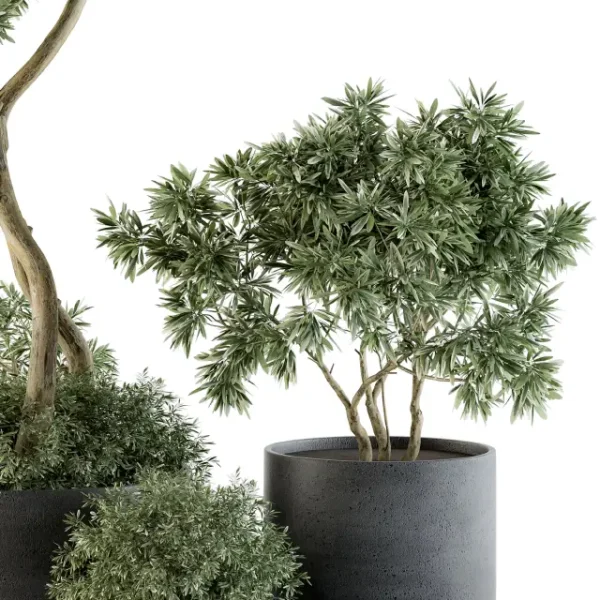 3DSky - Outdoor Plants Tree in Pot Set 90 - Image 2