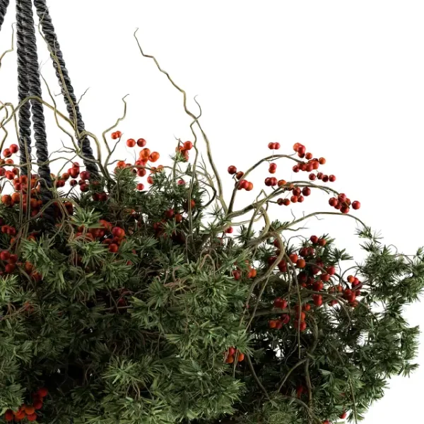 3DSky - Hanging Pot Plant Set 102 - Image 2