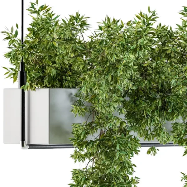 3DSky - Hanging Box Plant - Image 3