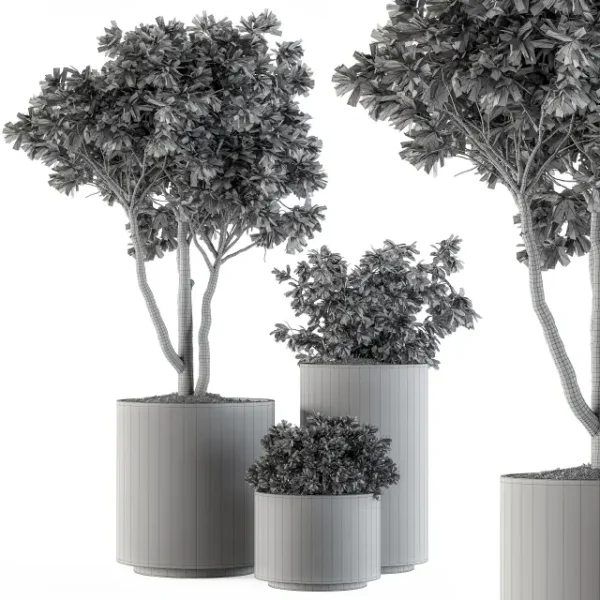 3DSky - Outdoor Plants Tree in Pot Set 94 - Image 4