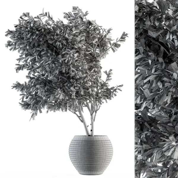 3DSky - Indoor Plant Set 87 Olive - Image 3