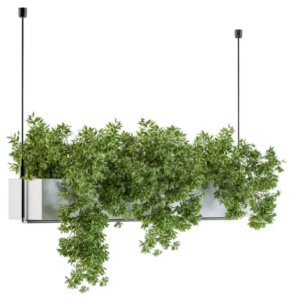 3DSky - Hanging Box Plant - Image 2