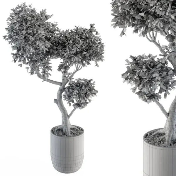 3DSky - Plant Big Bonsai Indoor Plants 110 - Image 4