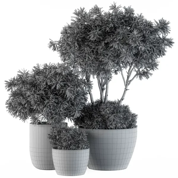 3DSky - Outdoor Plants Tree in Concrete Pot Set 111 - Image 3
