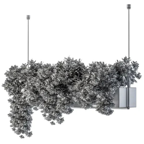 3DSky - Hanging Box Plant - Image 5