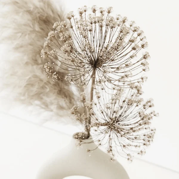 3DSky - Dry Composition - Image 3