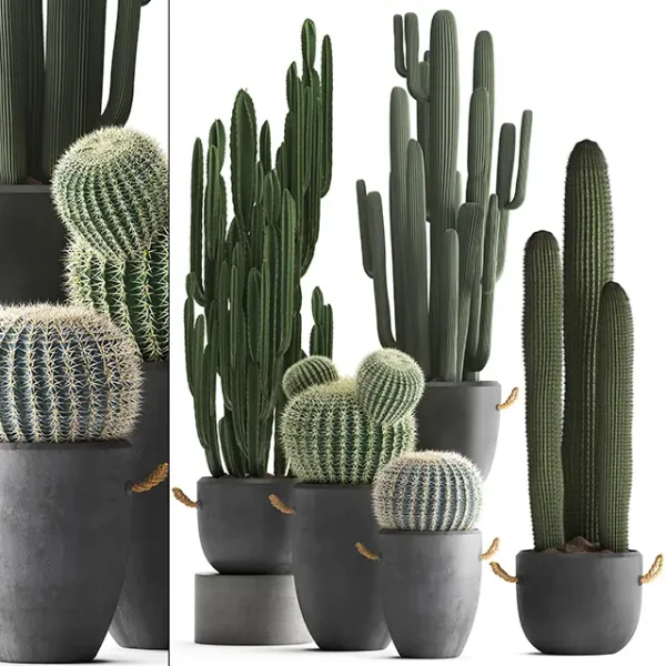 3DSky - Collection of Plants 411