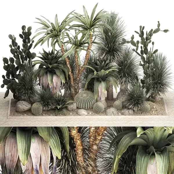 3DSky - Collection Of Tropical Desert Plants 1108