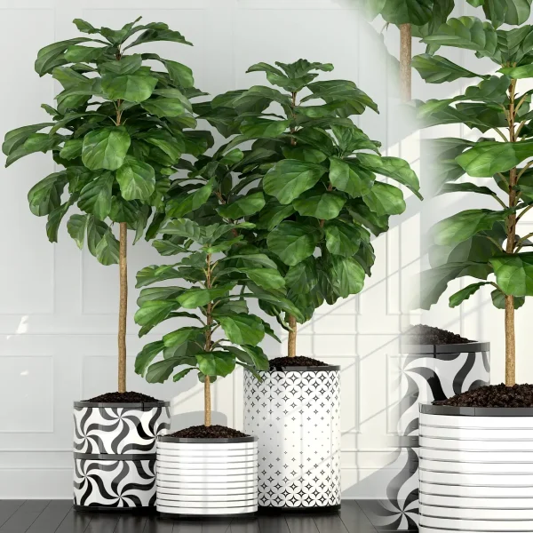 3DSky - Plants Collection 63