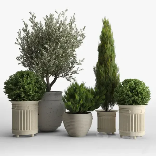 3DSky - Prescott Planter Set