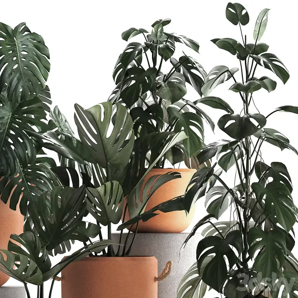 3DSky - Plant Collection 423 - Image 3