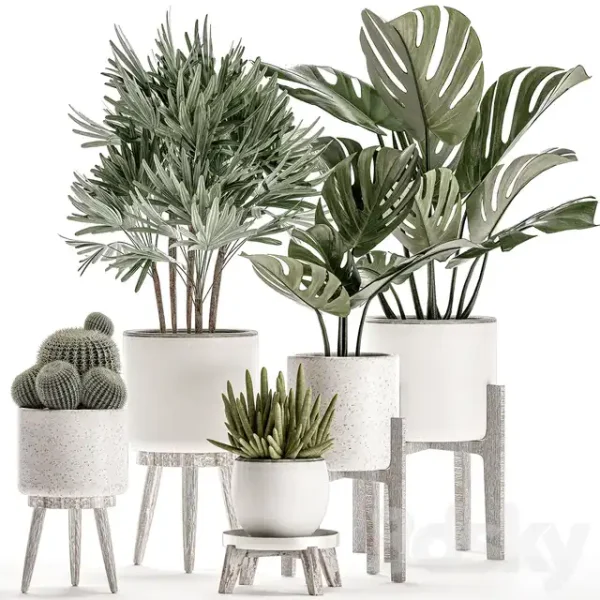 3DSky - Plant Collection 509