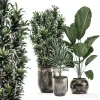 3DSky - Plant Collection 531