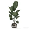 3DSky - Plant Collection 531 - Image 3