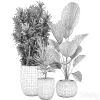 3DSky - Plant Collection 531 - Image 4