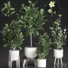 3DSky - Plant Collection 560 - Image 4